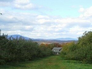 outdoor view