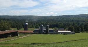 bartless farm dairy