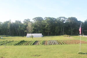 farm