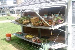 fresh farm goods