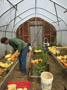 kearsarge gore farm