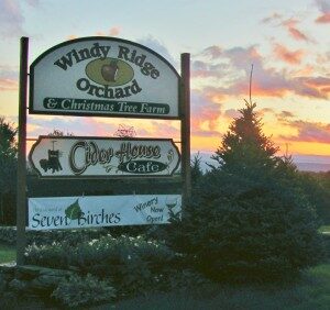 windy ridge orchard