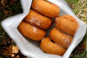 donuts