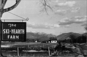 farm_beginning