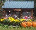 people-enjoying-farm