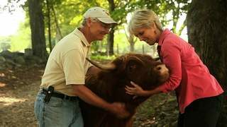 bruce-carole