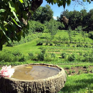 Cheshire Garden, Winchester NH