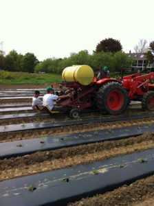 "tractor