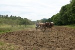 NH Farm Museum2 150x100