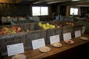 gould hill farm