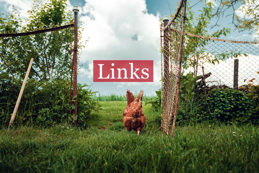 Links text overlaying rooster in grass coop