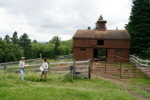 nh-farms-apple-haven