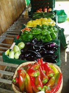 veg-shed-peppers-and-eggplant