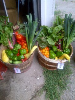 bushels of fresh veg