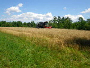 farm pic tuckaway nh