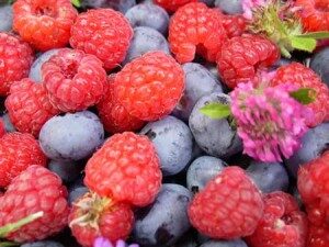 berry hill farm blue raspberries