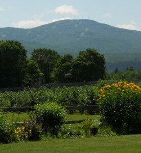 Bartlett’s Blueberry Farm