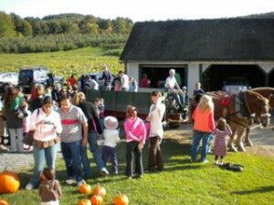 wagon crowd