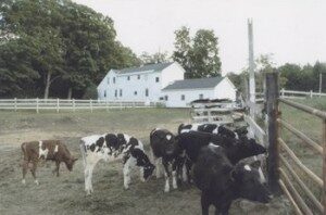 west over family farm