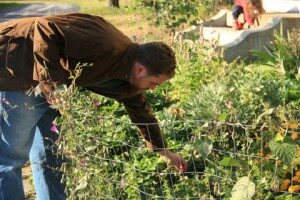 picking flowers