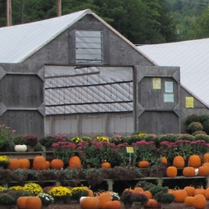 Devriendt Farm, Goffstown, NH