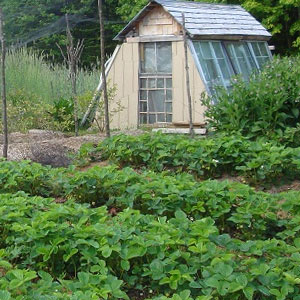 Wintergreens Farm and Aquaponics, North Stratford, NH