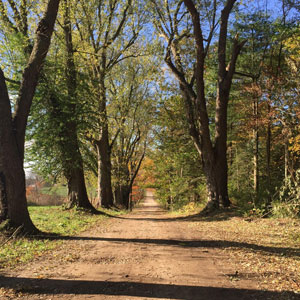 Stuart Farm, Stratham, NH