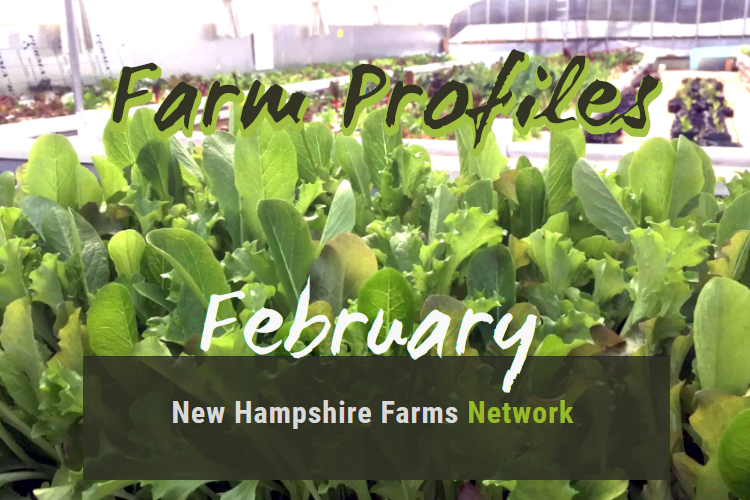 Farm Profiles February 2023