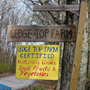 Ledge Top Farm, Wilton, NH