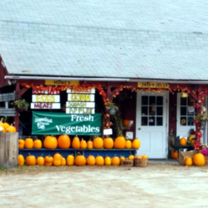 Beaver Pond Farm, Newport, NH