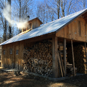 Ragged View Farm, Andover NH