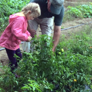 Bly Farm, Wolfeboro, NH