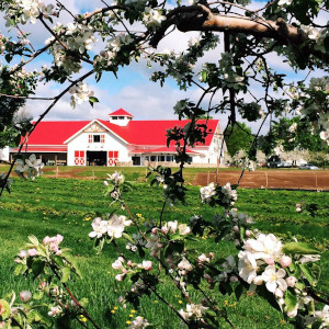 Applecrest Farm Orchards, Hampton Falls, NH