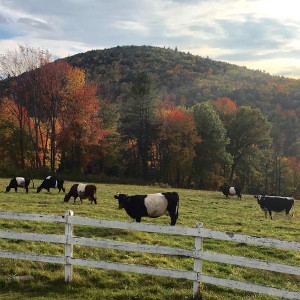 Manning Hill Farm, Winchester, NH