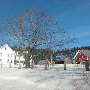 Tomapo Farm, Lebanon, NH