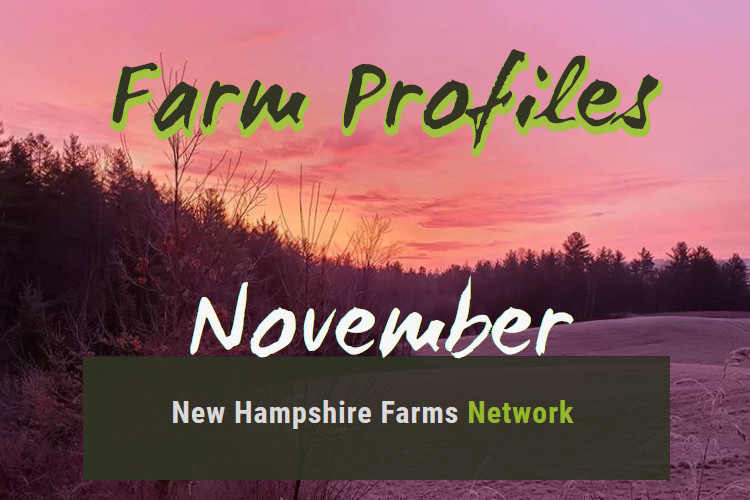Farm Profiles November 2022