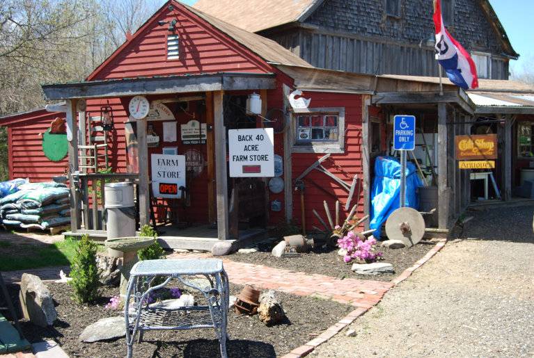 flower farms new hampshire